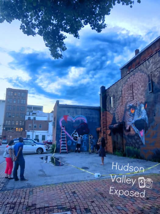Poughkeepsie, NY shows off its community through the First Fridays events that happen throughout the year. Dutchess County, NY is lucky to have this wonderful event.