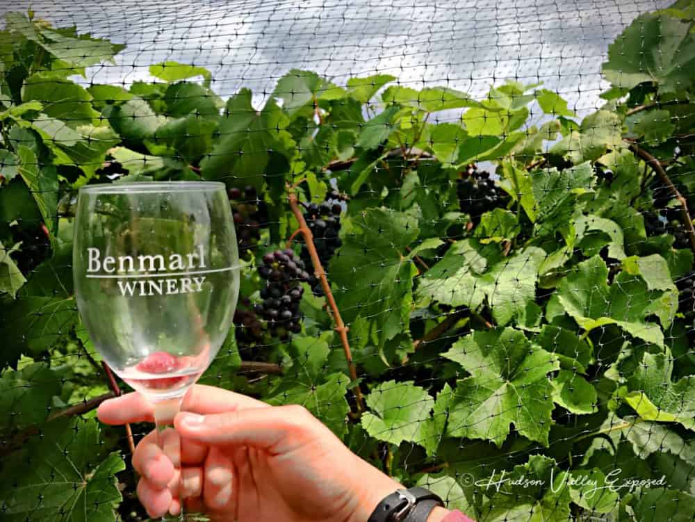 Benmarl Winery