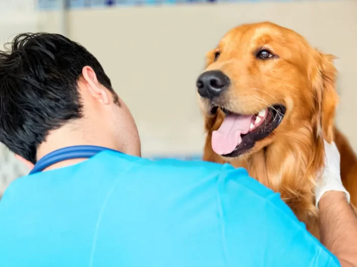 Dog visiting Dutchess County Veterinarians
