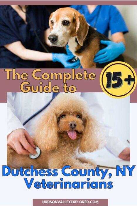 Looking for the best Dutchess County Veterinarians to take care of your furry family friend? This complete list of more than 15 veterinarians and the services they offer will help you find the perfect doctor. Check out more from Hudson Valley, New York! #NewYork #HudsonValley #HudsonValleyNewYork #HudsonValleyNY #ILoveNY Hudson Valley, Dutchess County NY, Upstate NY, Upstate New York, I love NY, Dogs of the Hudson Valley New York