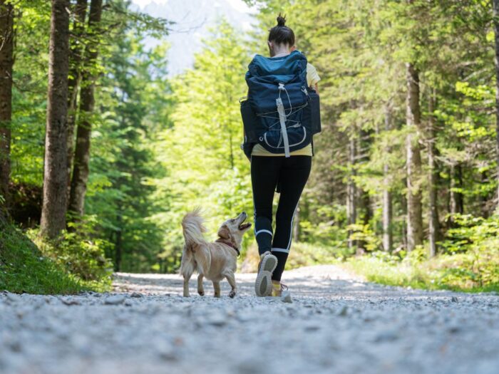 A woman hiking with one of the best dog breeds for hiking